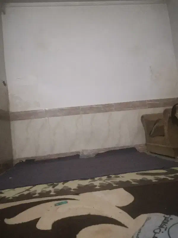 سوییت