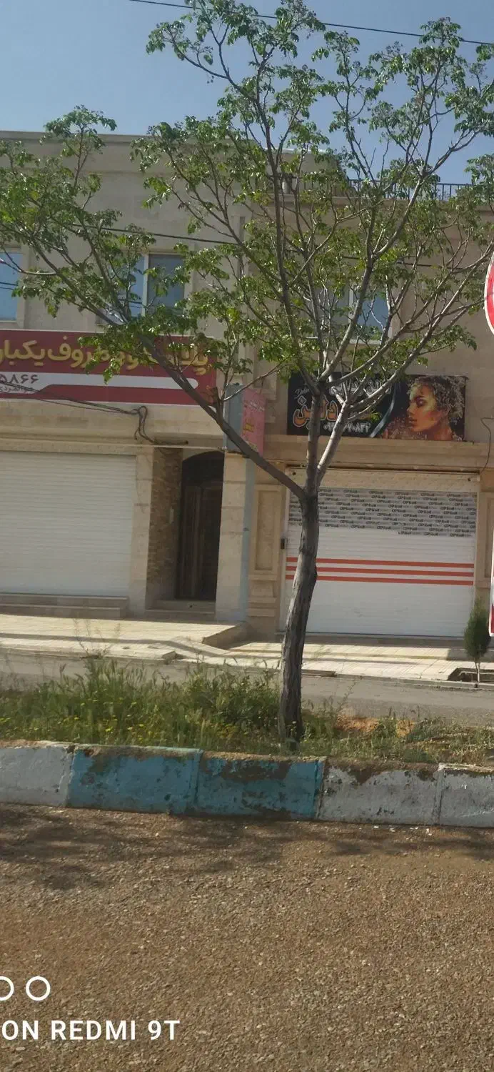 مغازه صدرا فازدو