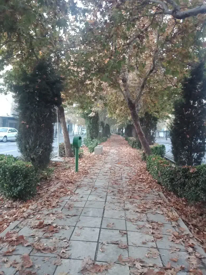 خانه ییلاقی در پالند سوادکوه