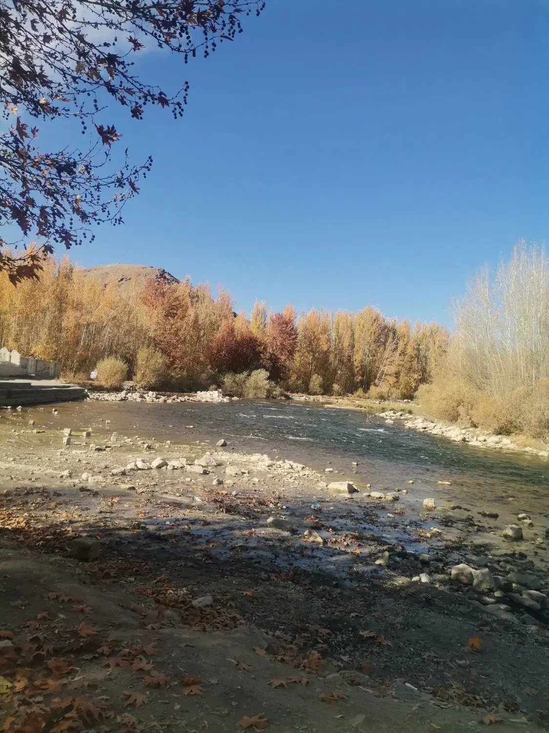 زمین کشاورزی