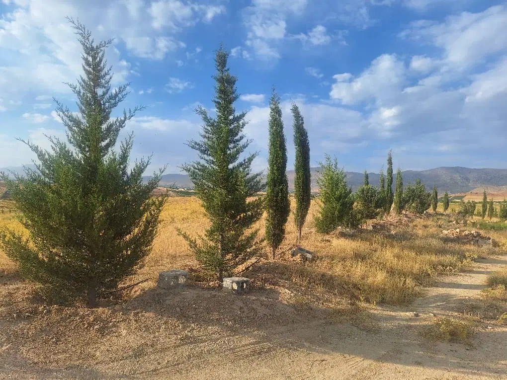 فروش زمین تجاری مسکونی جوادیه
