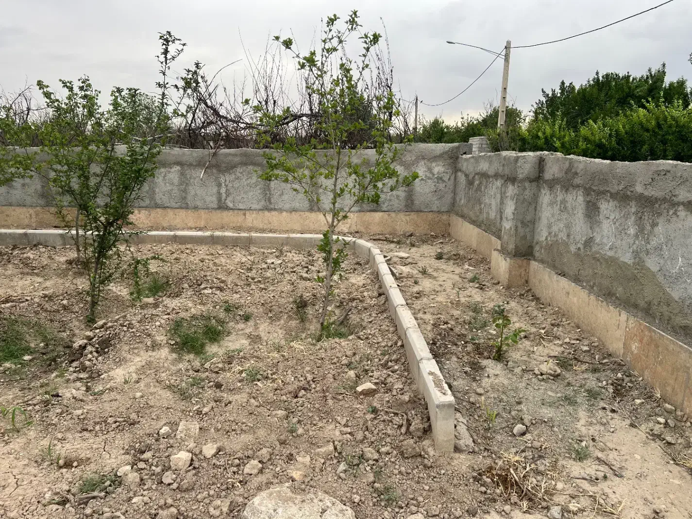 فروش باغچه