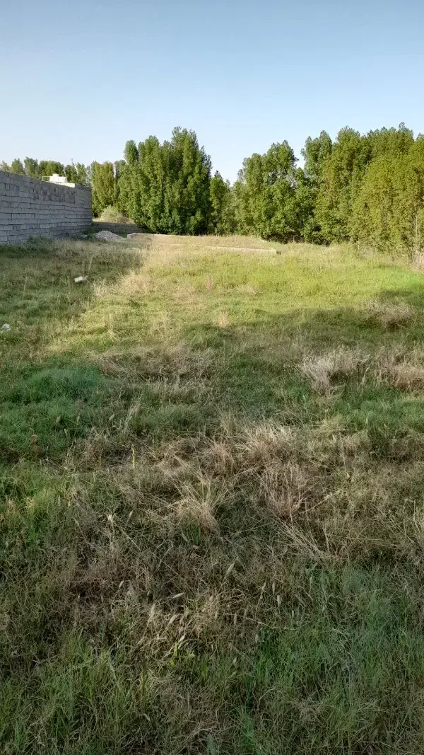 زمین ویلایی