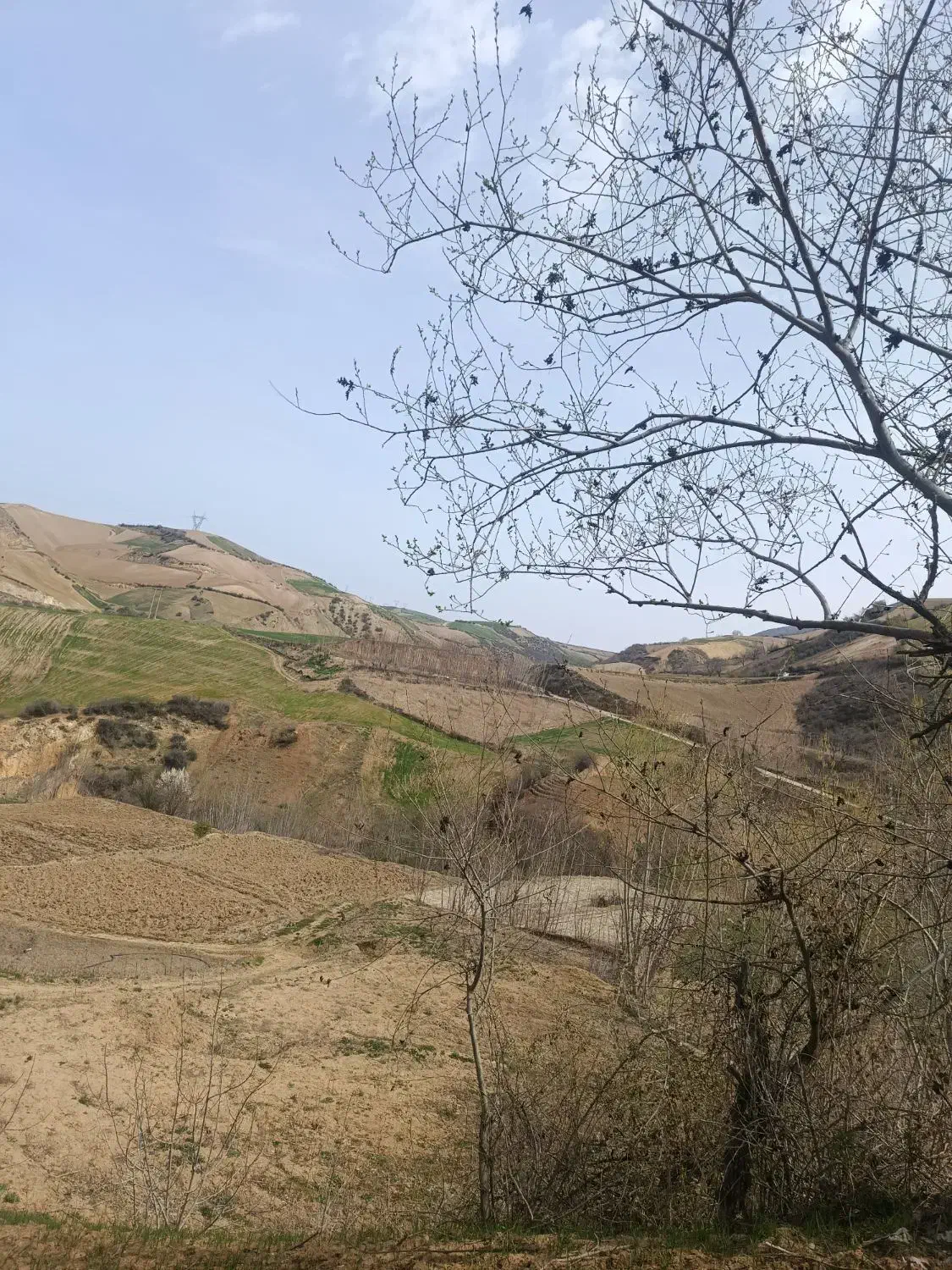 فروش زمین ۱۴۴ متری در تقی آباد