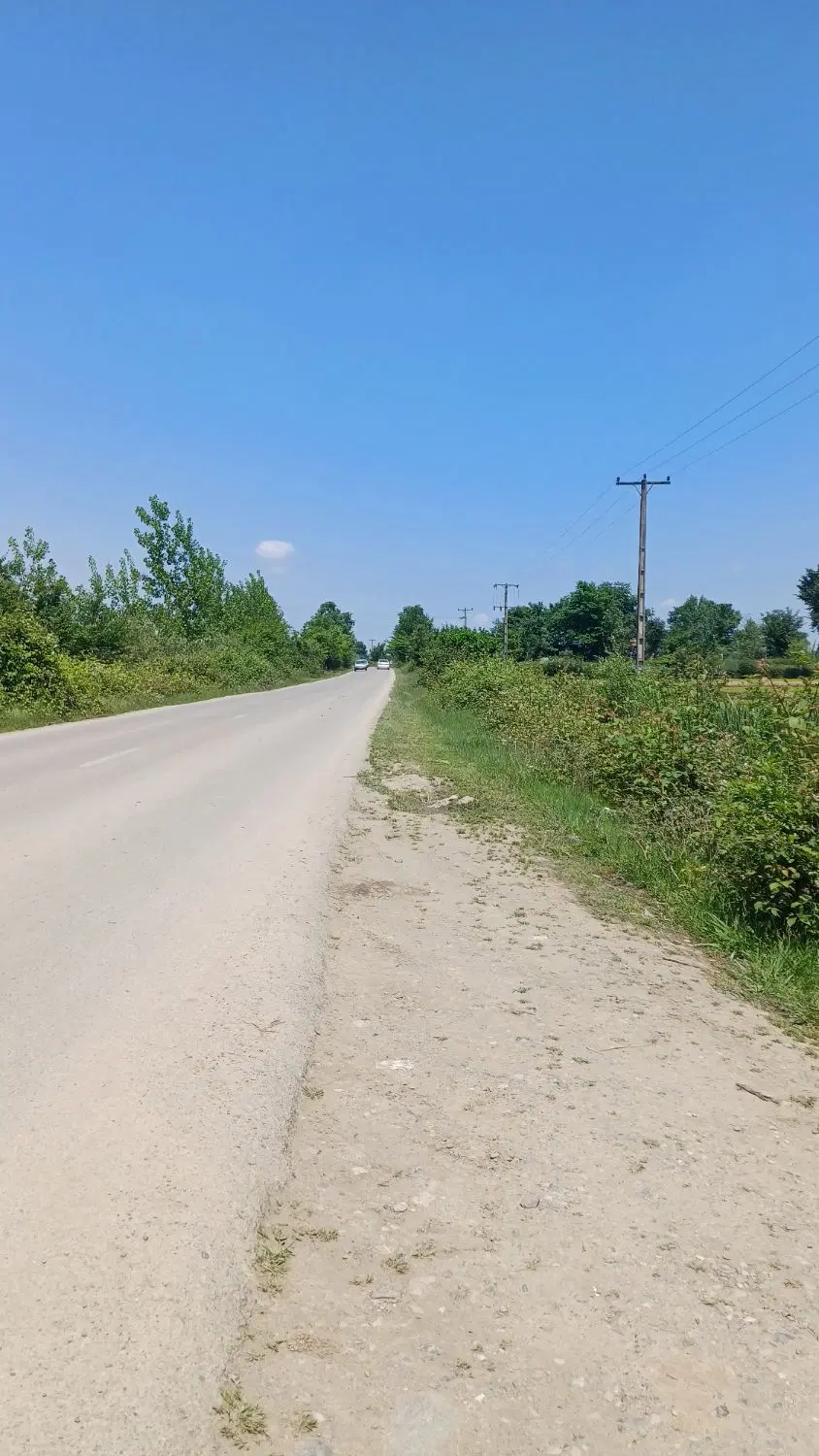 ۸۷۵ شالی حسینکوه