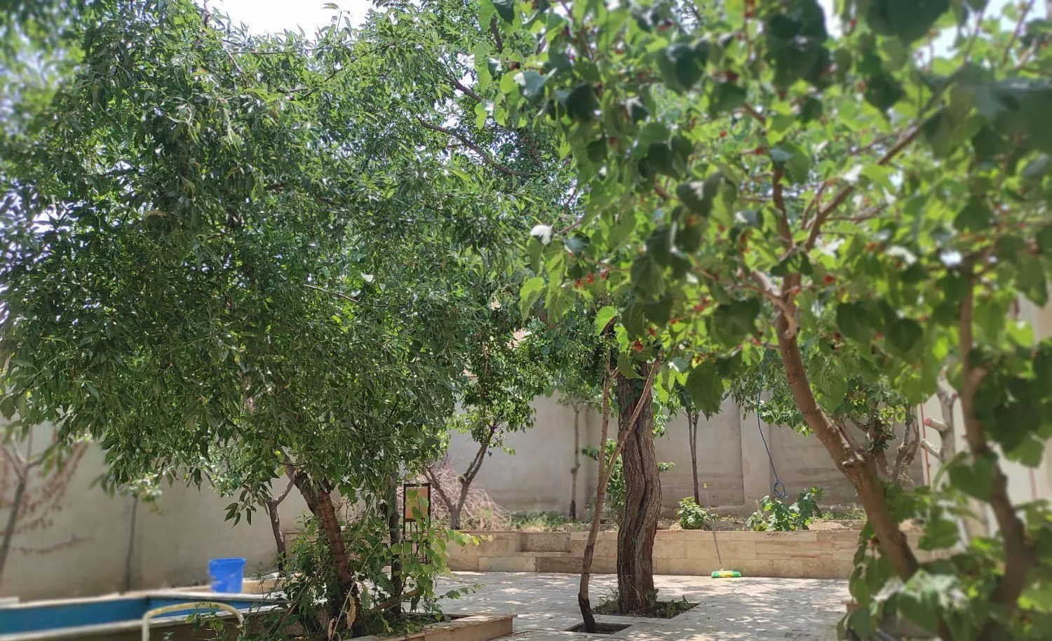 اجاره روزانه_ویلا