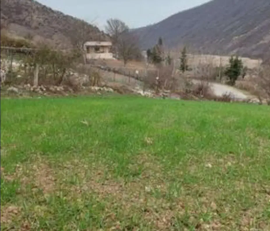 فروش زمین ییلاقی پول کجور آستانکرود