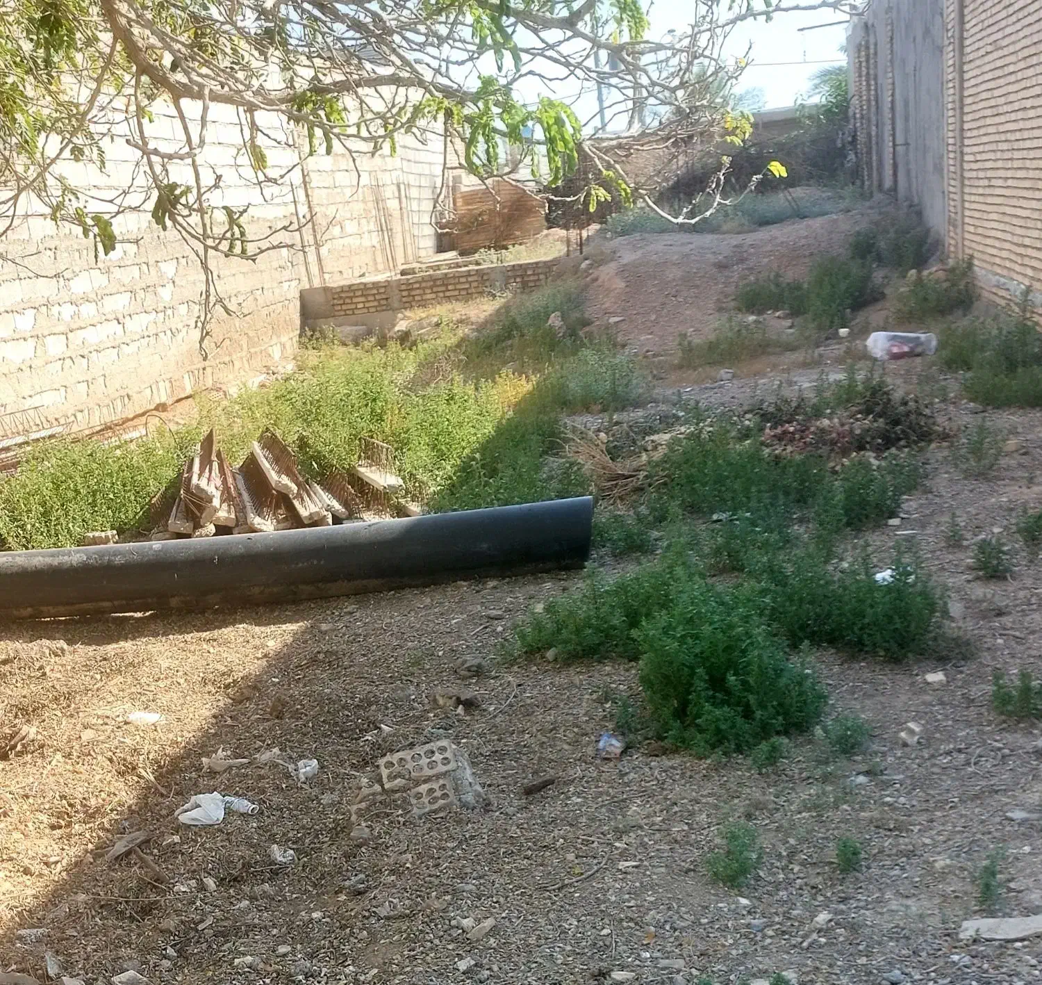 زمین مسکونی درشعیبیه شهرگوریه