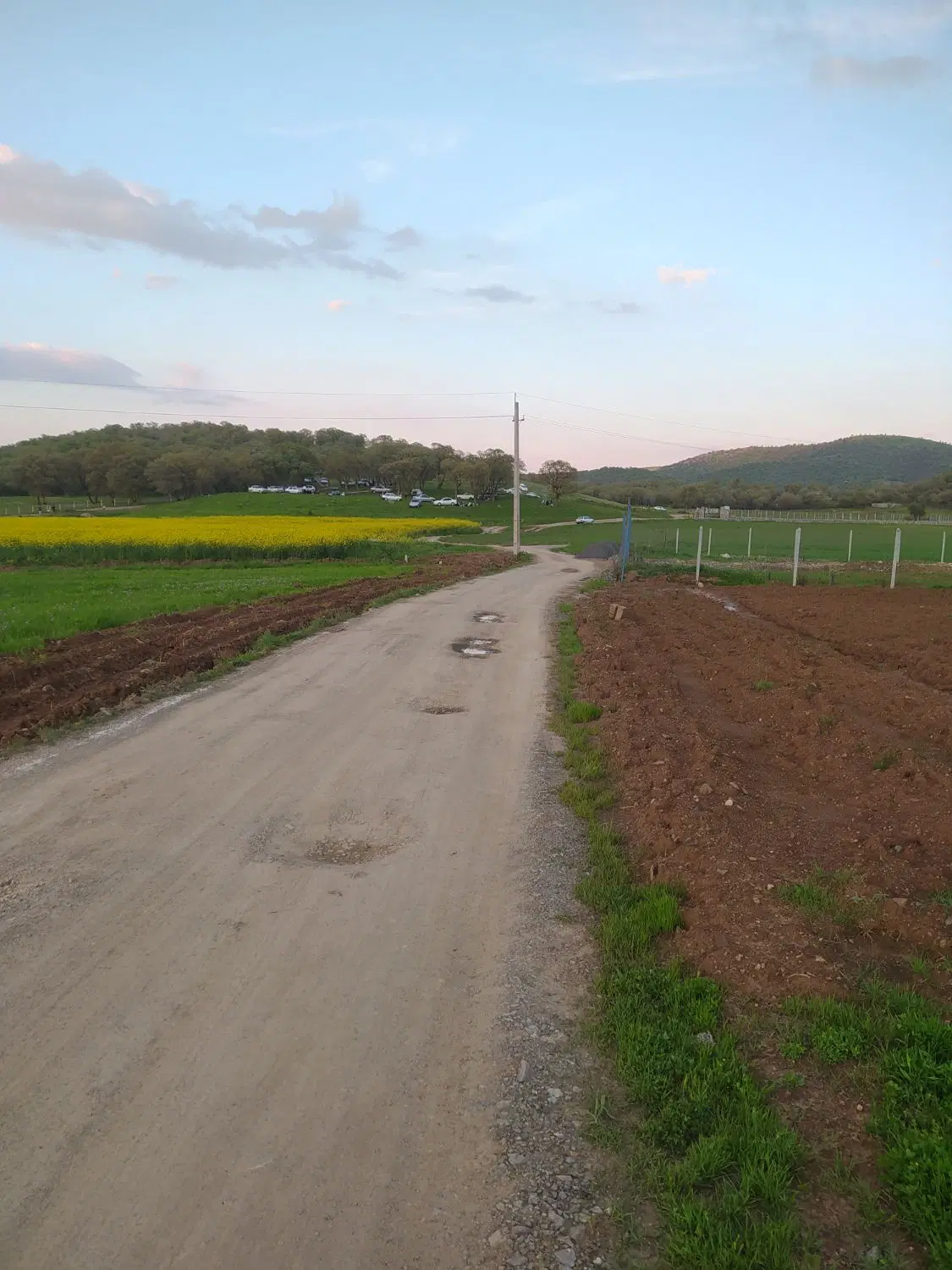 زمین کشاورزی روستای کال