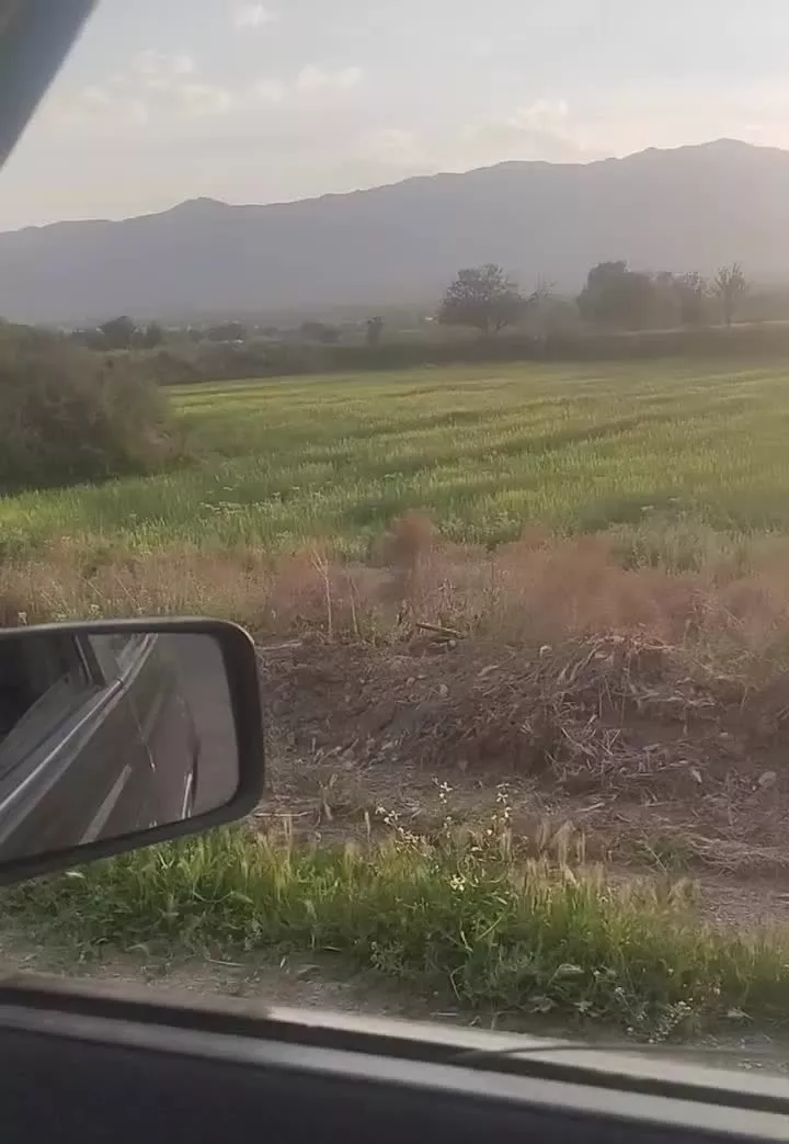 زمین کشاورزی رباط محمود سند شش دانگ