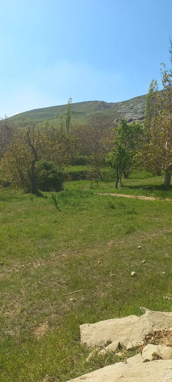 زمین روستای نیاق