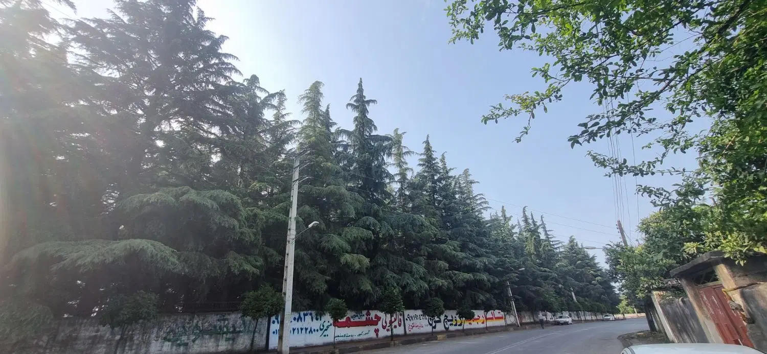 ملک و زمین در شهر چالوس