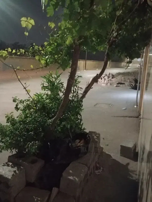 منزل مسکونی اجاره