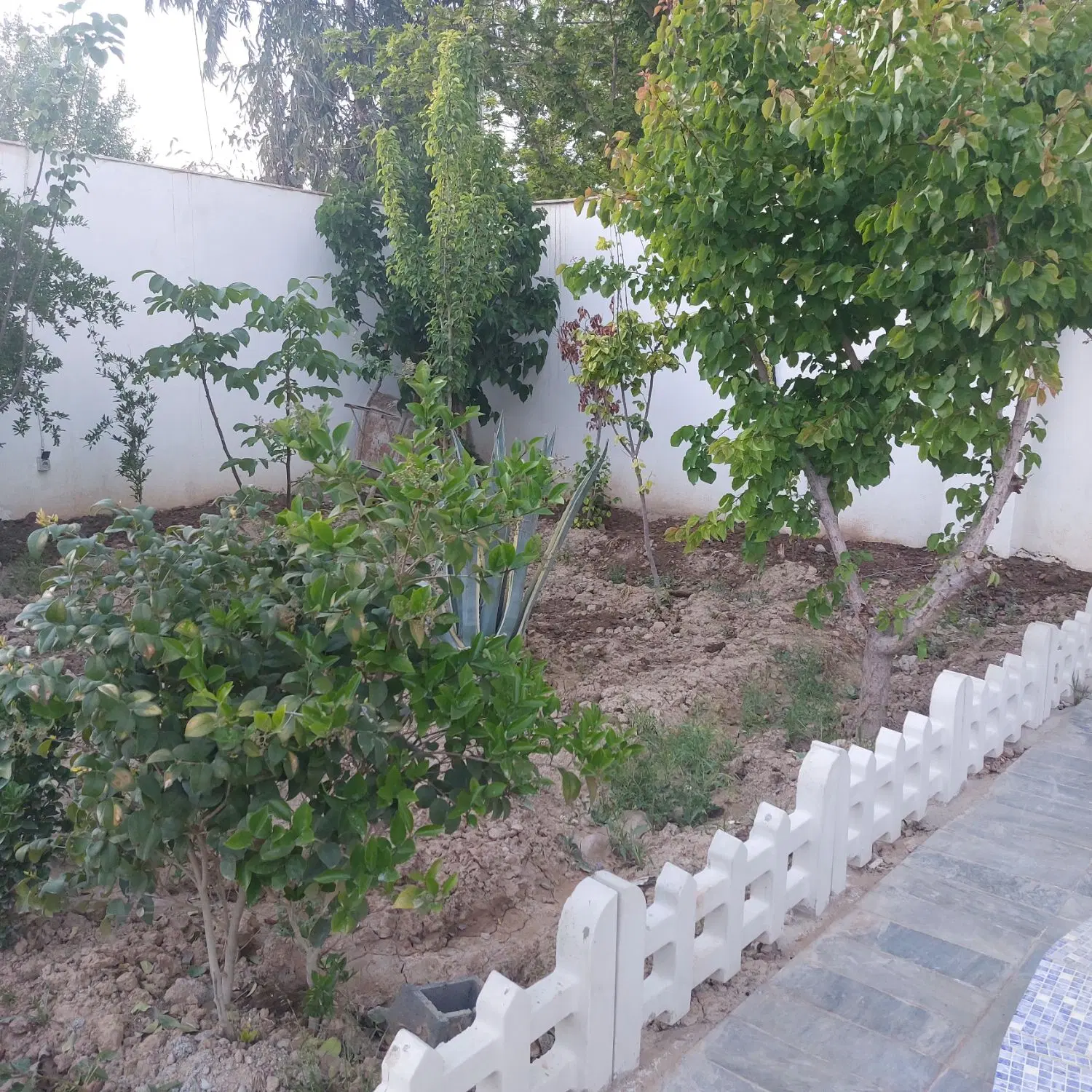 باغ ویلا با استخر در یوسف رضا