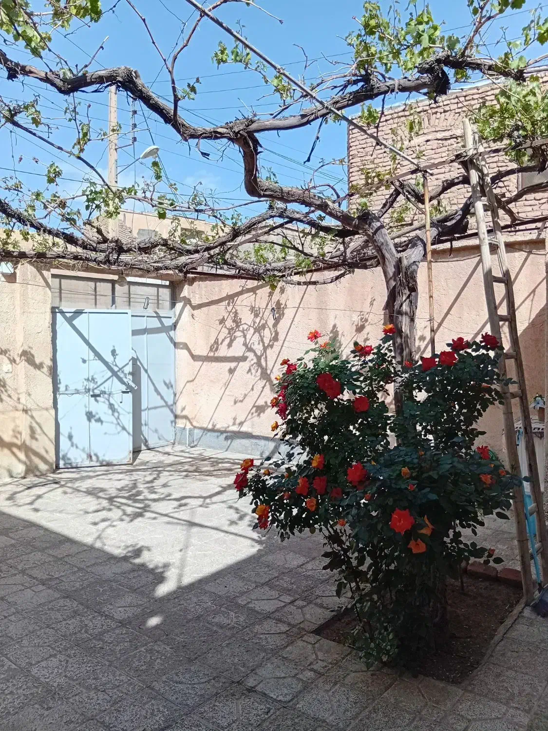 ۱۲۰ متر ویلایی دربست ۳ واحد در طبرسی شمالی