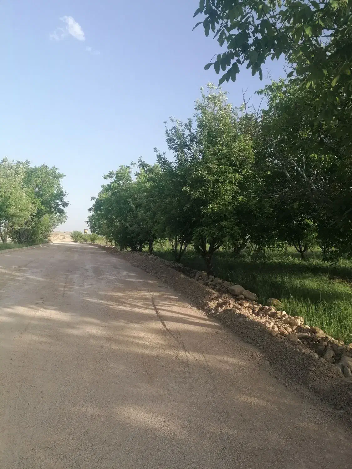 باغ سیاخ دارنگون