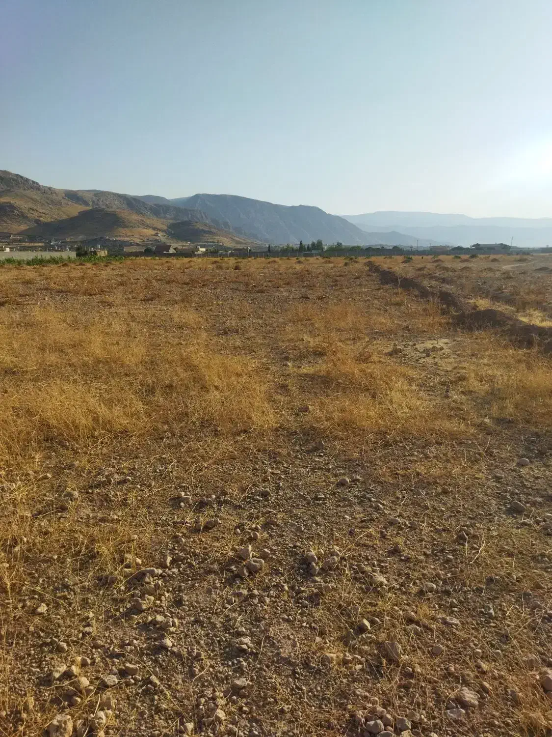 فروش ۴۰۰۰مترزمین درگاوداری‌ها بابرق سه فاز زرقان