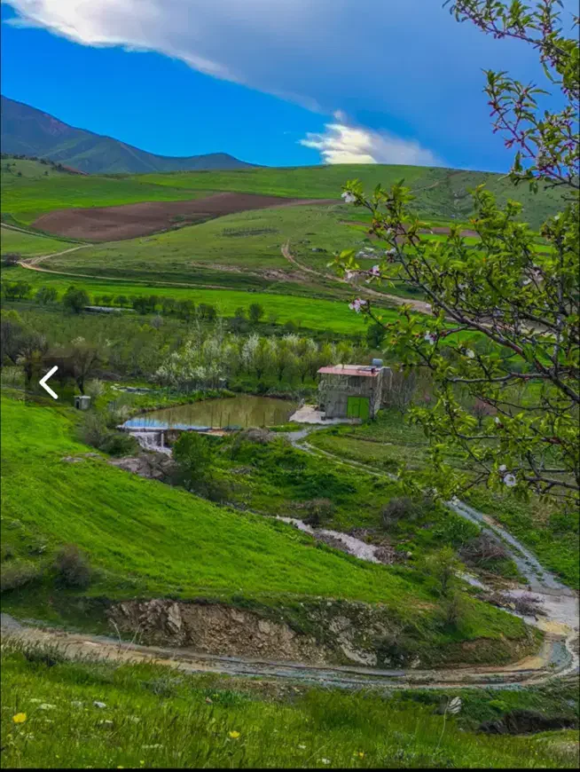 باغ مجوزدار