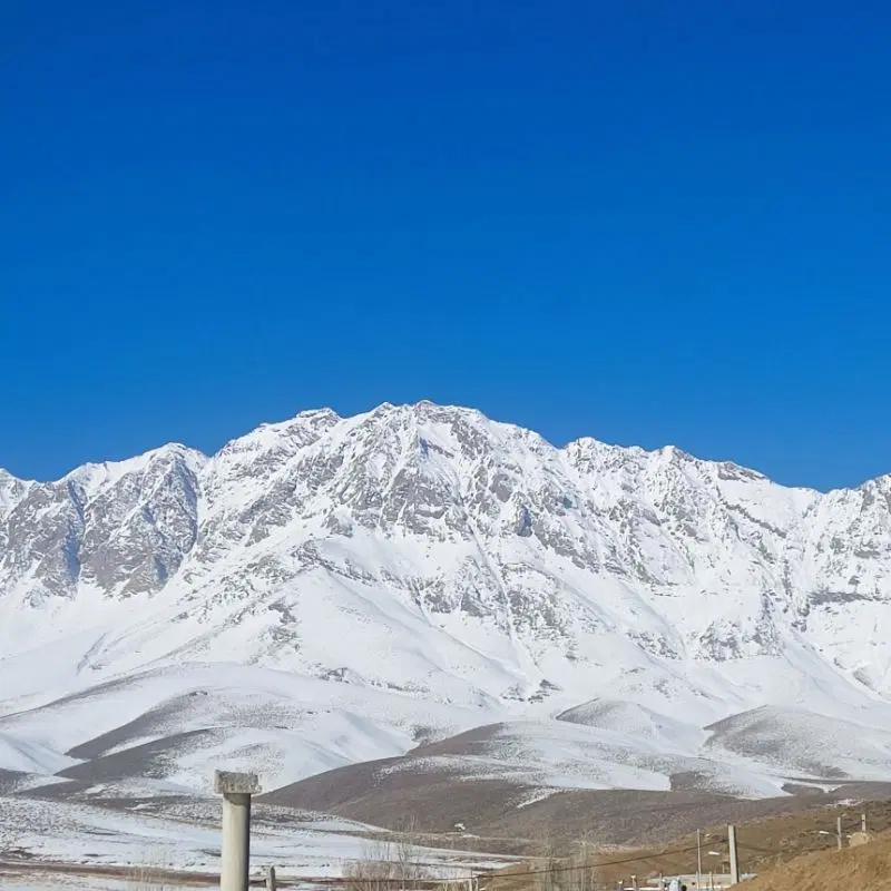 زمین کشاورزی .مشارکت یا اجاره