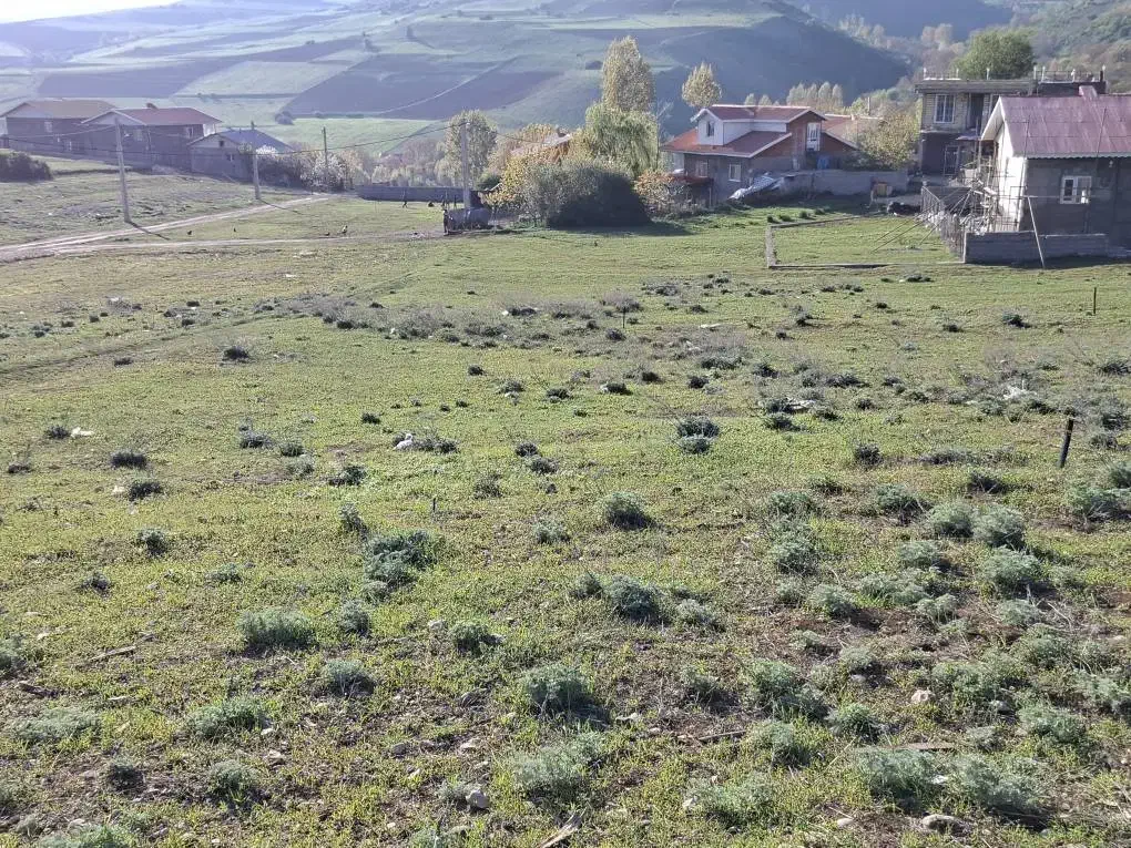 زمین مسکونی در روستای کوه پس شهر دیلمان