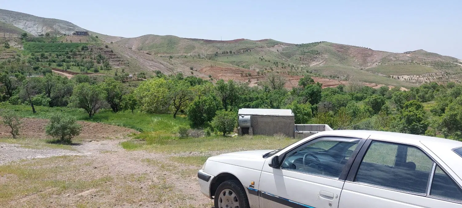 ۳ عدد باغ انگور و بادام و گردو در روستای الولک باغ