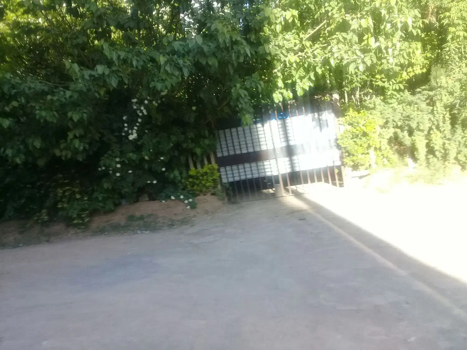 باغ شهری