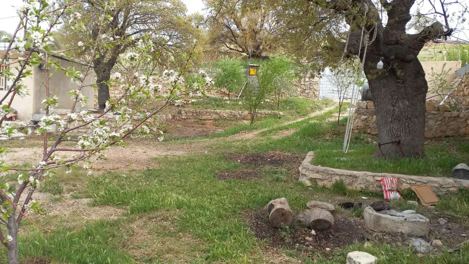 فروش خانه باغ در نوراباد ممسنی روستای جهرم