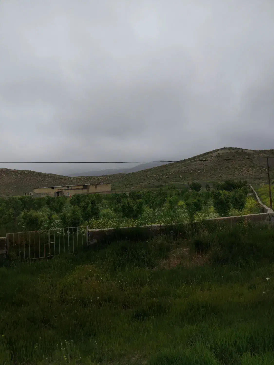 باغ با متراژ پنج هزار متر مربع