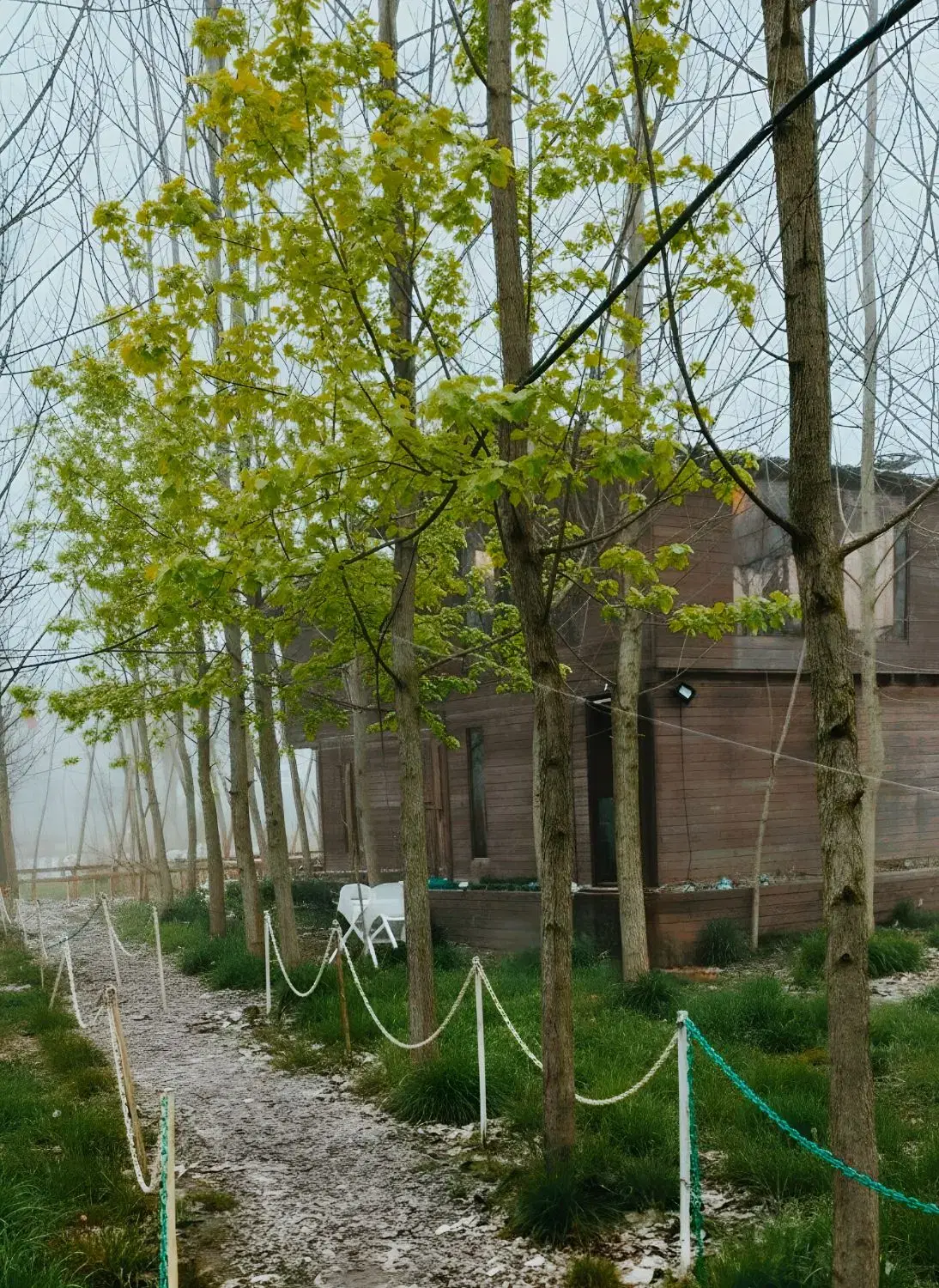 بیا بخرش