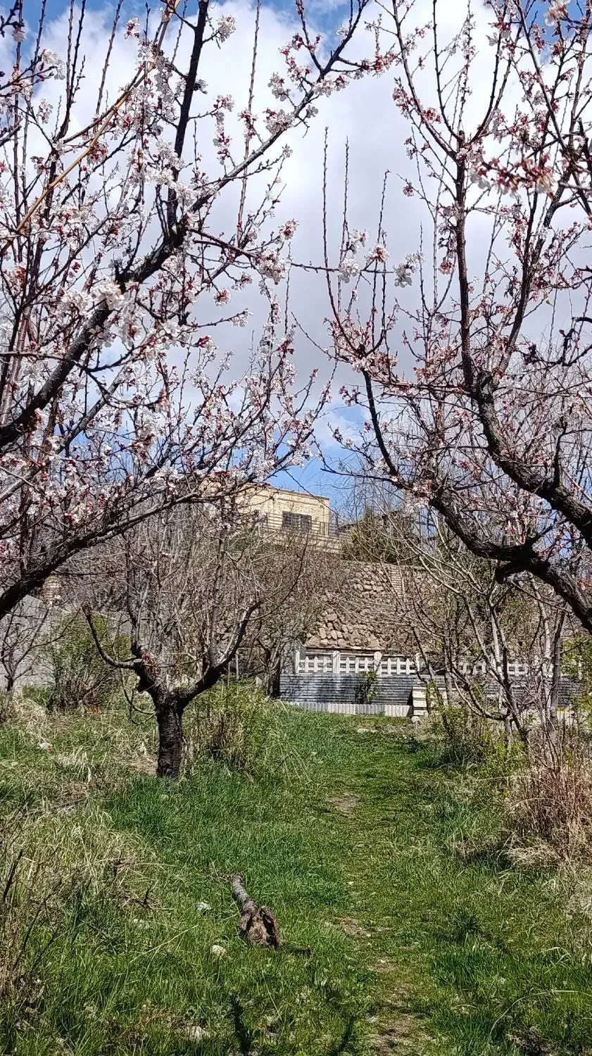 باغ میوه ۱۰۰۰متری