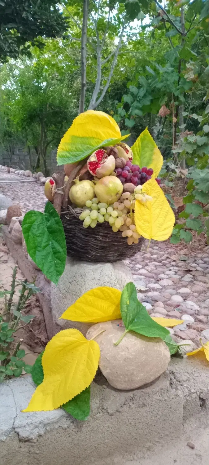 باغچه آرین محلاتی