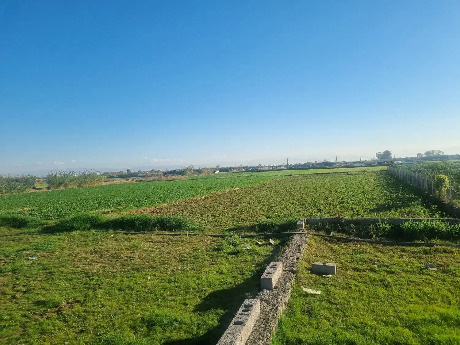 زمین کشاورزی در منطقه آزاد مناسب برای باغ