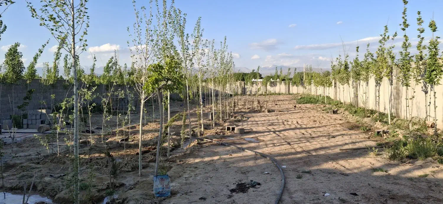 زمین سند دار چهار دیواری 1300 متری
