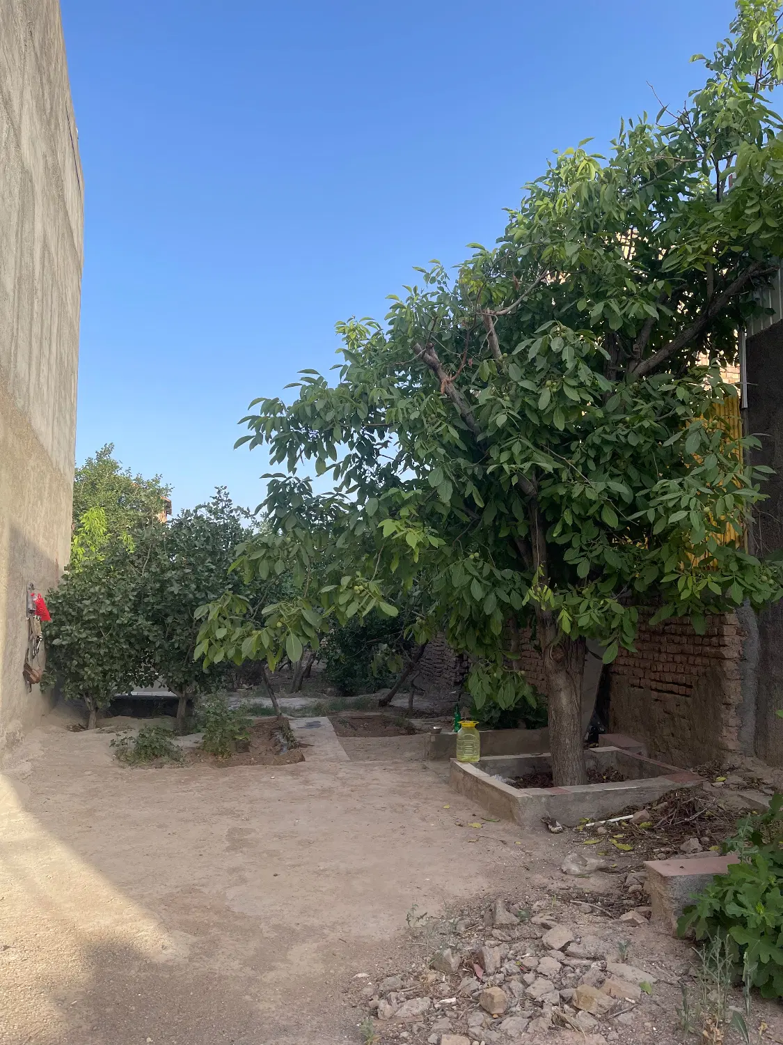 باغ خیام