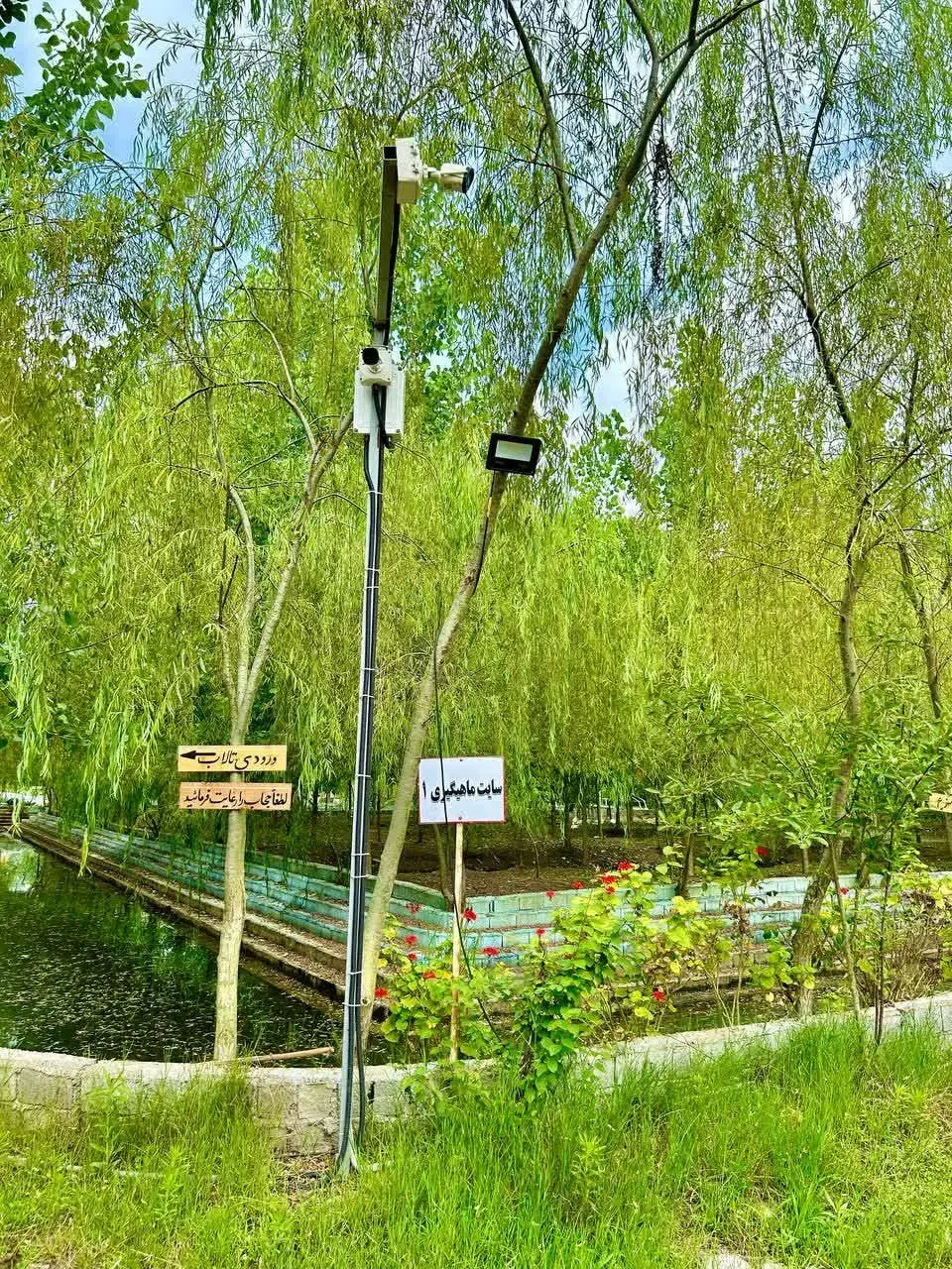 ویلاهای جنگلی با طراحی سوئیسی