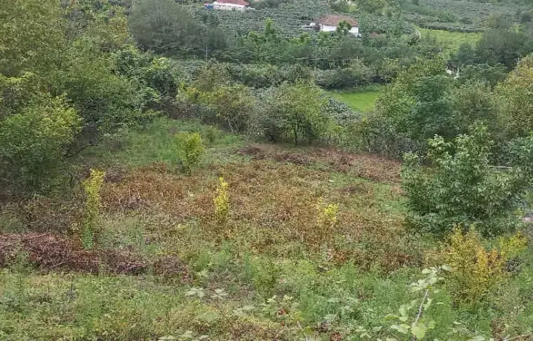 زمین مسکونی