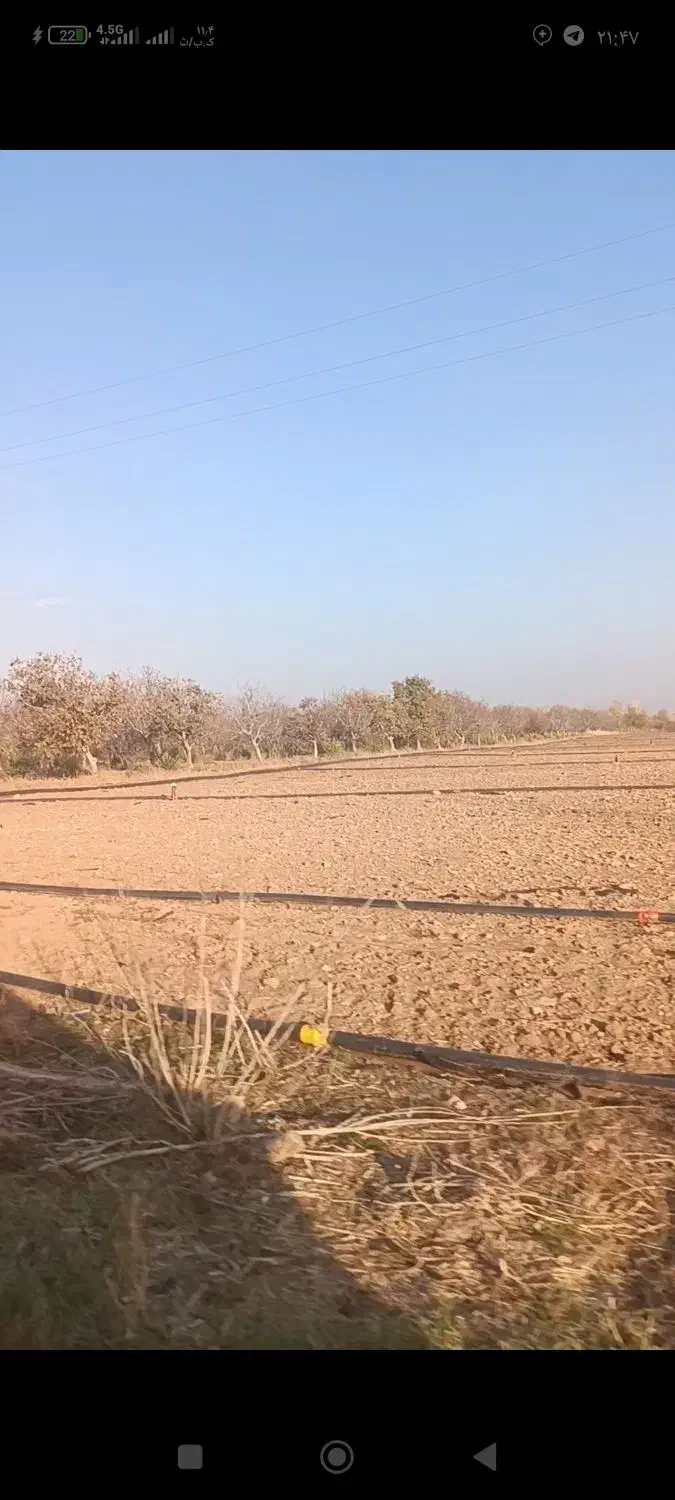 مزرعه ۱۸۰هکتاری با ۱۲ اینچ اب پرفشار