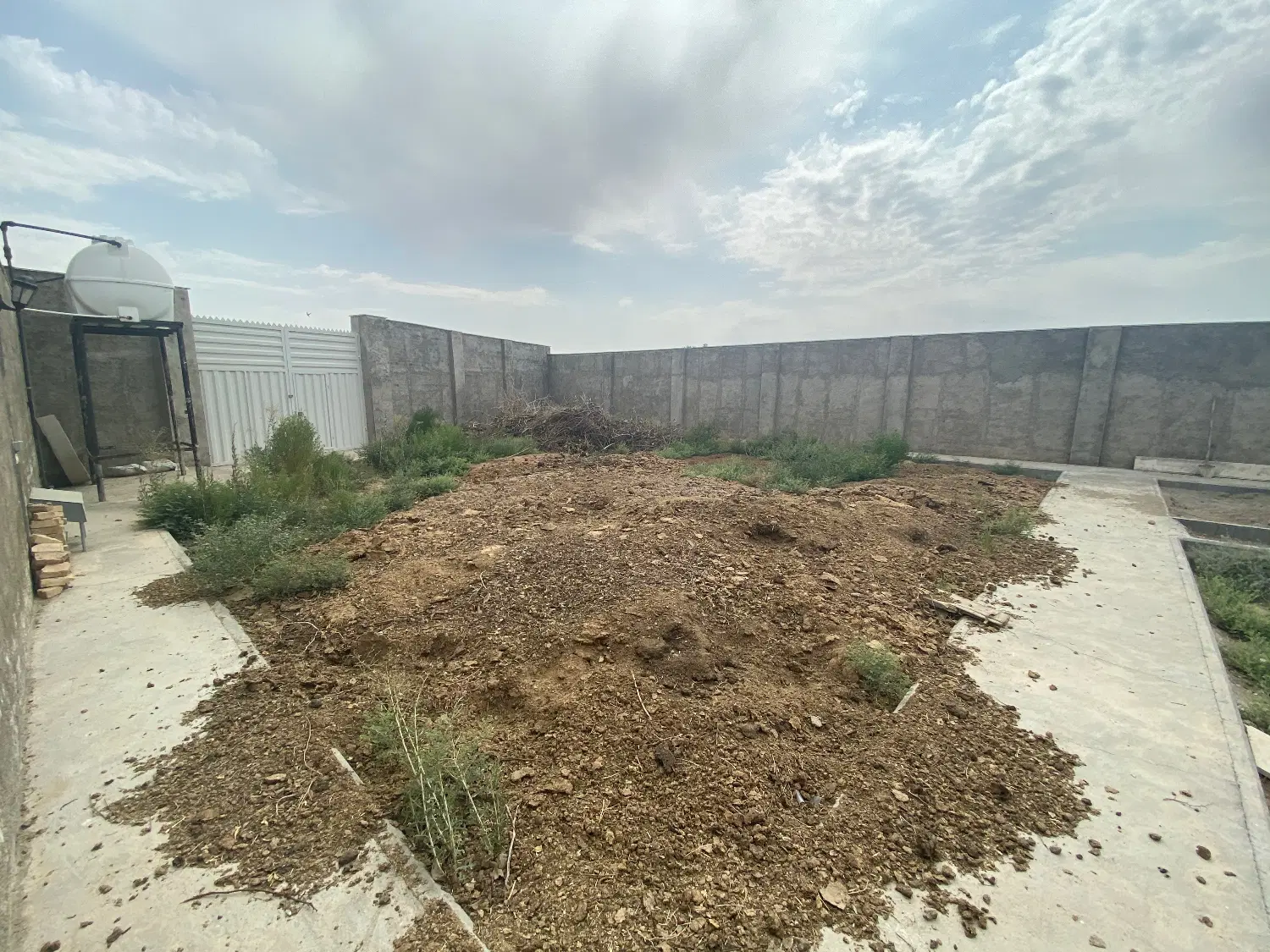 گاوداری و دامداری صنعتی