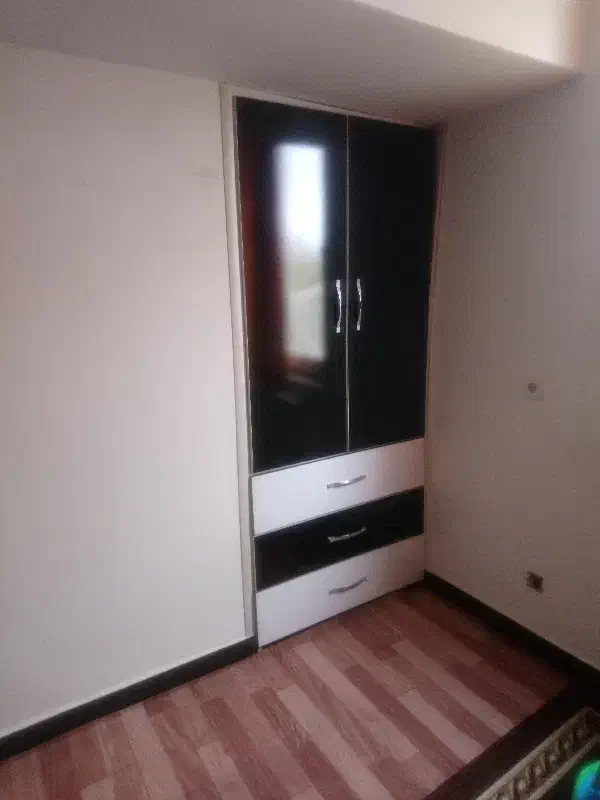همخانه خانم