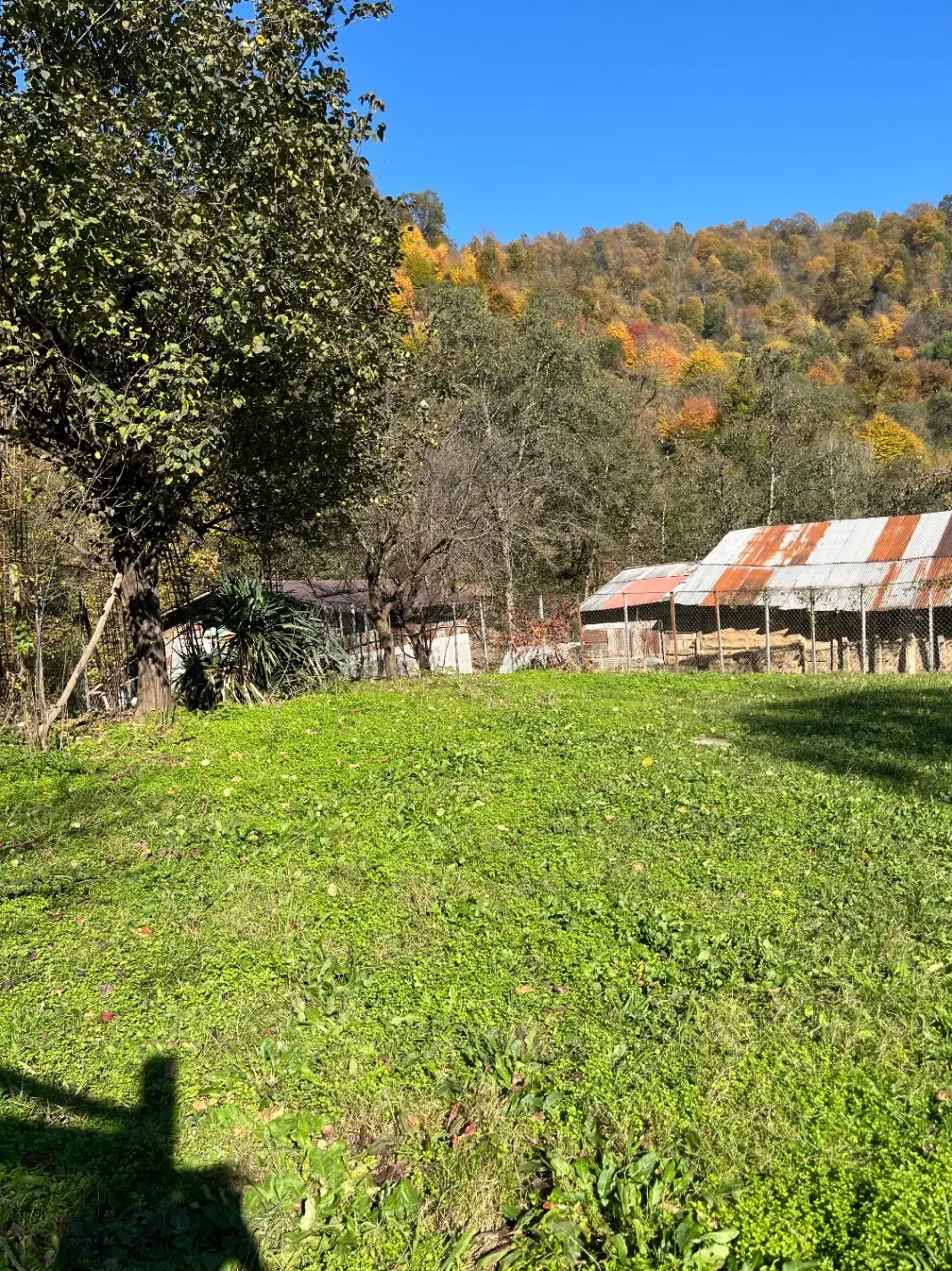 فروش زمین در روستای ماسال