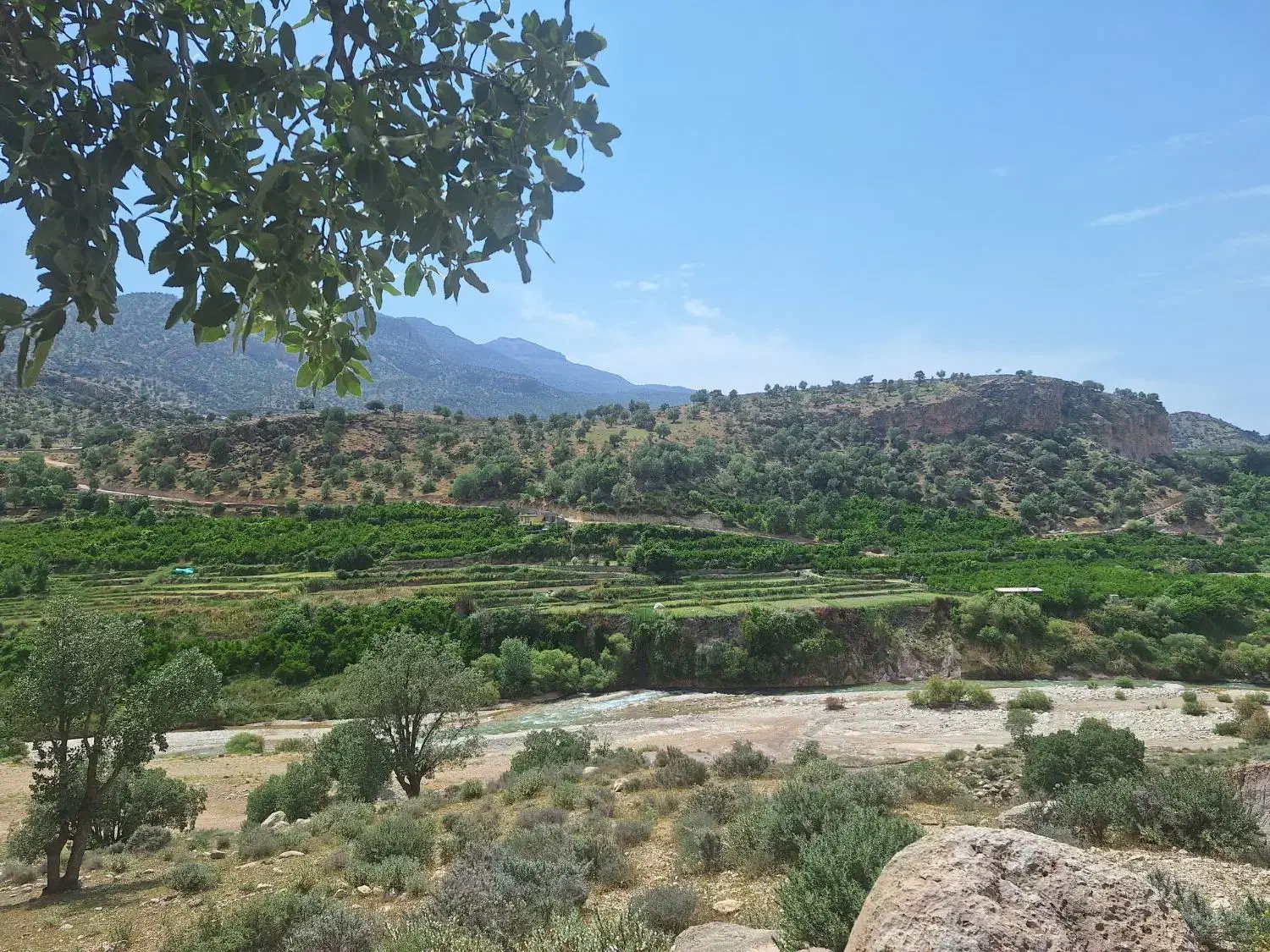 زمین مسکونی گورک کله بندی