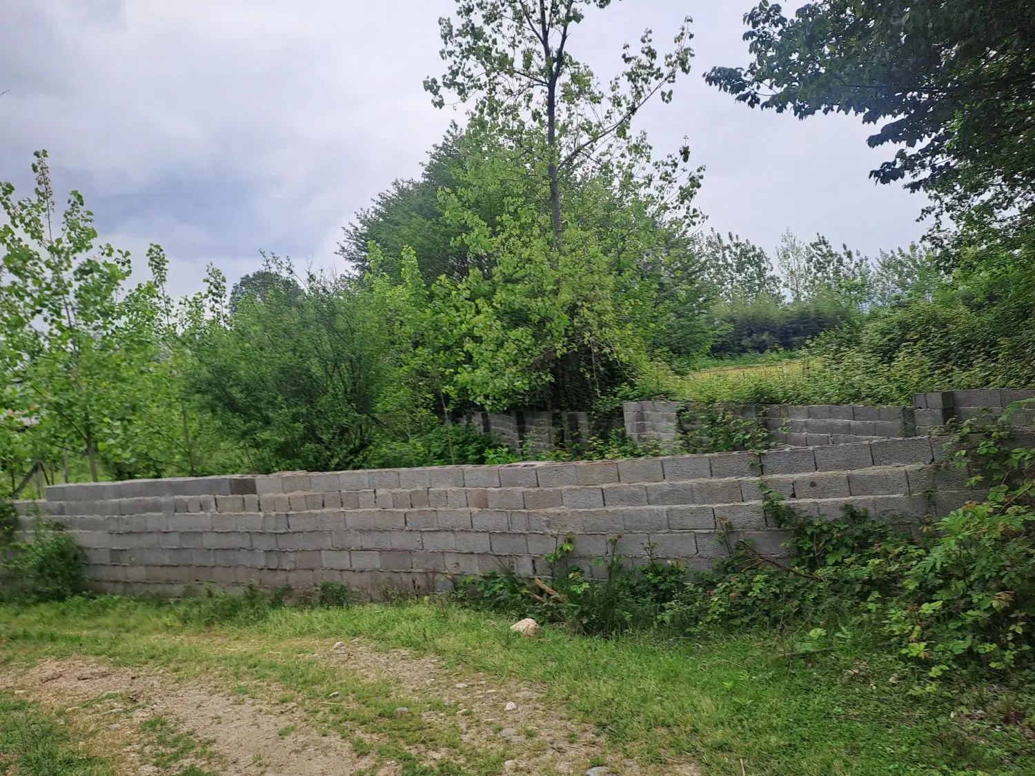 ۹۷۰ متر زمین باغی داخل طرح   محمدی