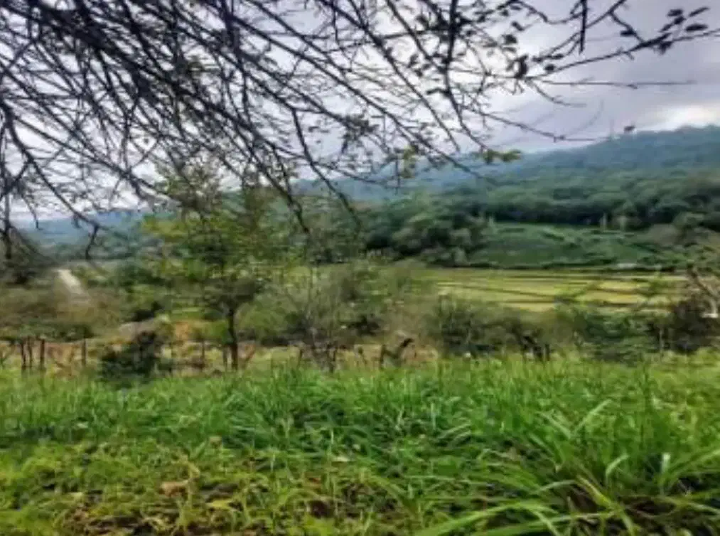 لنگرود ۸۰۰۰ متر