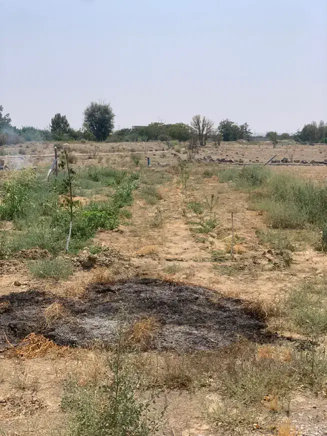 باغچه ۵۰۰متری