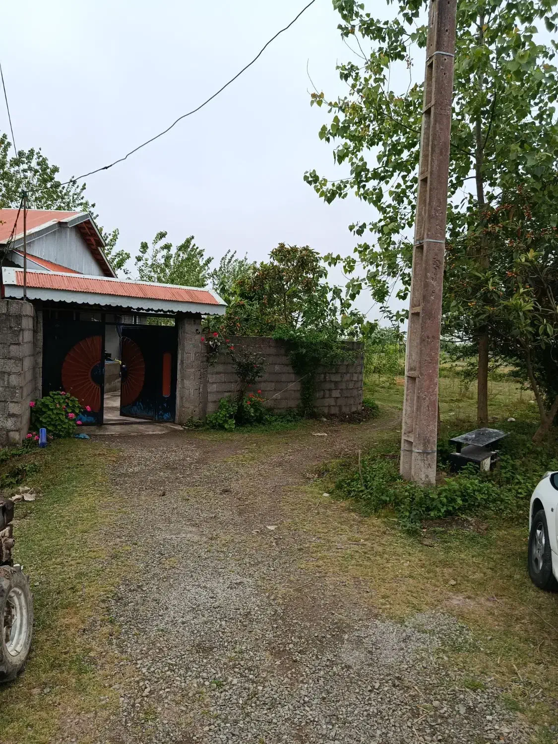 زمین باغی داخل طرح