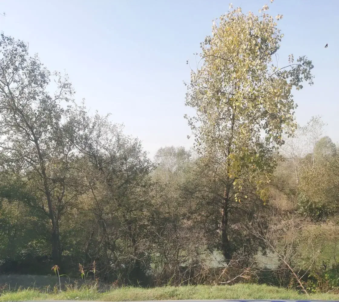 فروش زمین ۳۰۰ متر