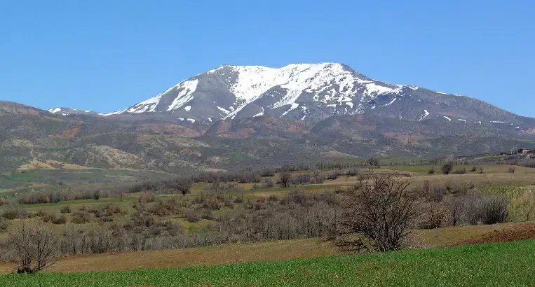 زمین فروشی