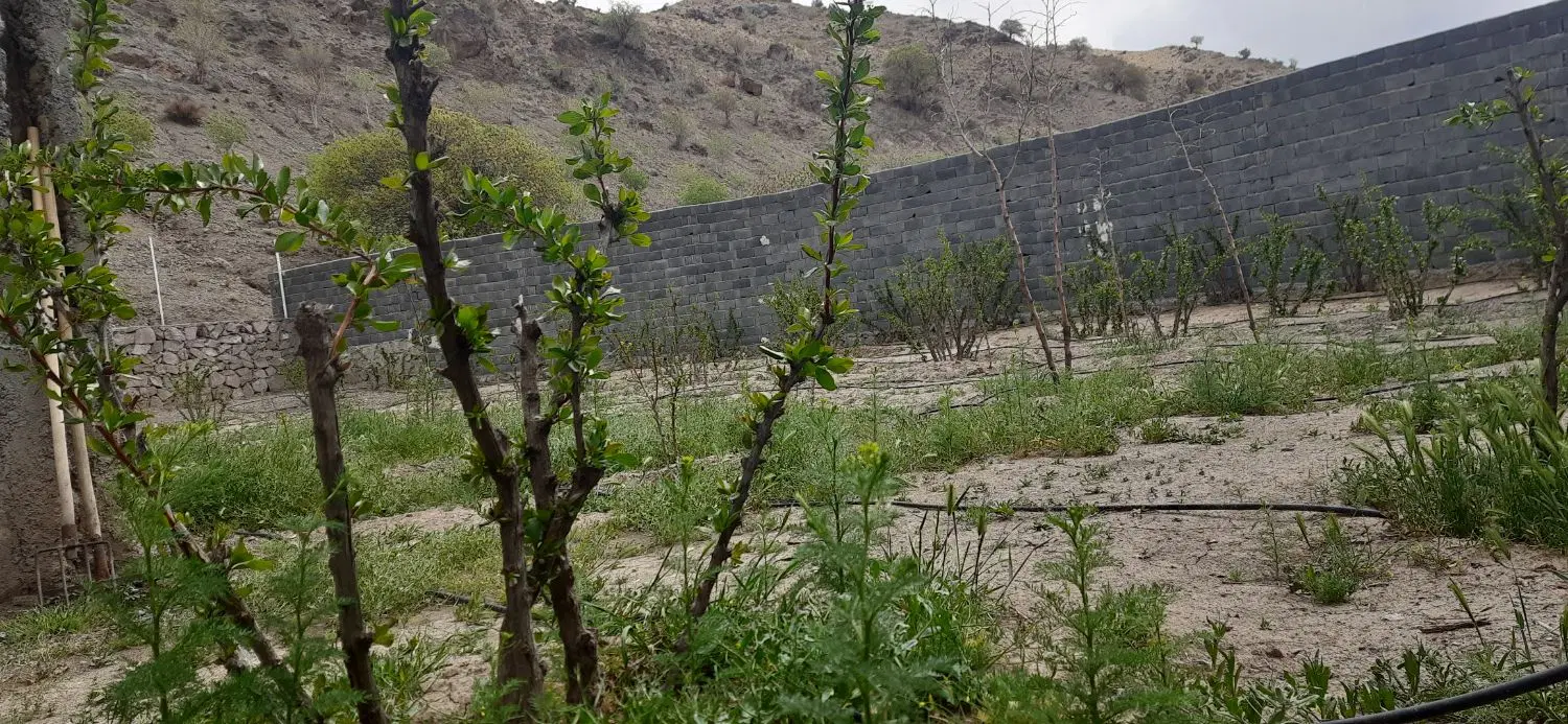 باغ ویلا