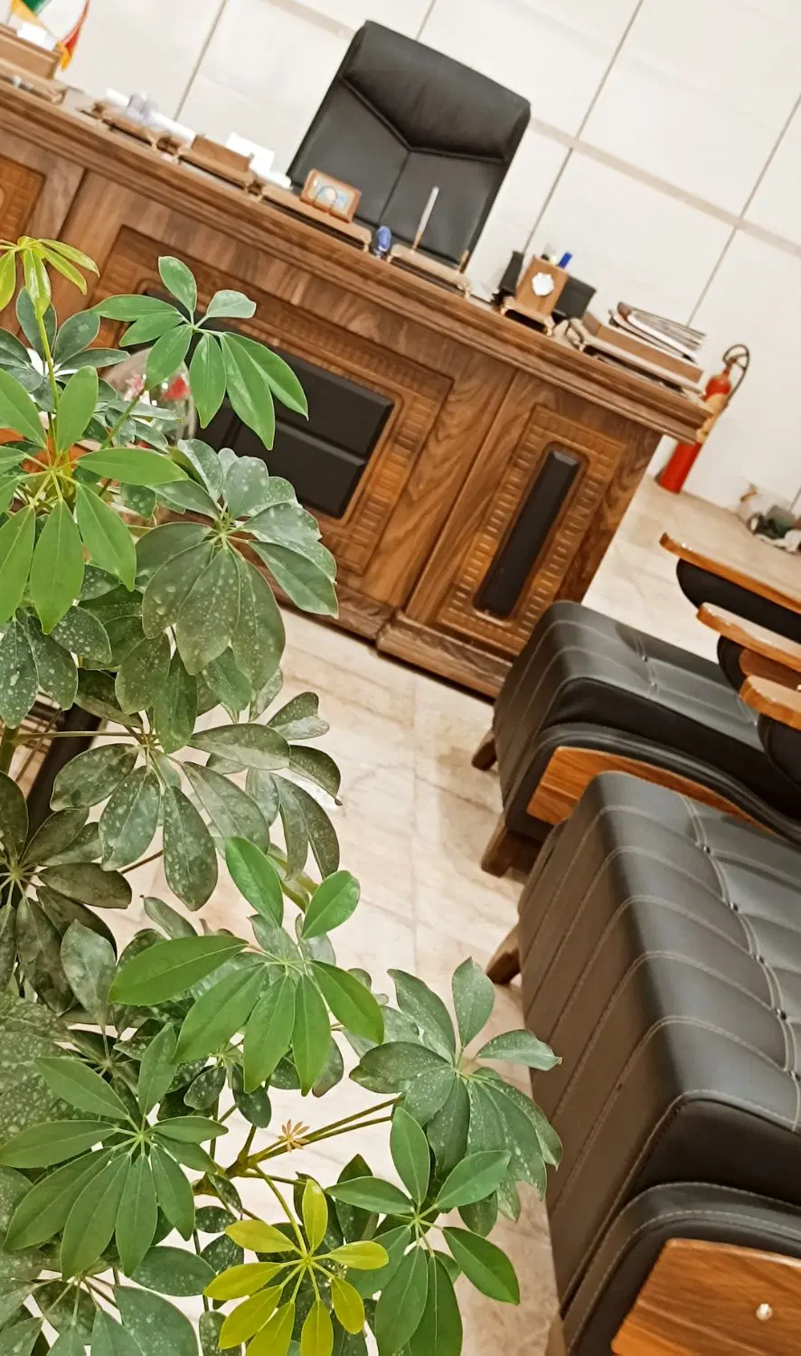 ملک کلنگی برای مشارکت در ساخت.