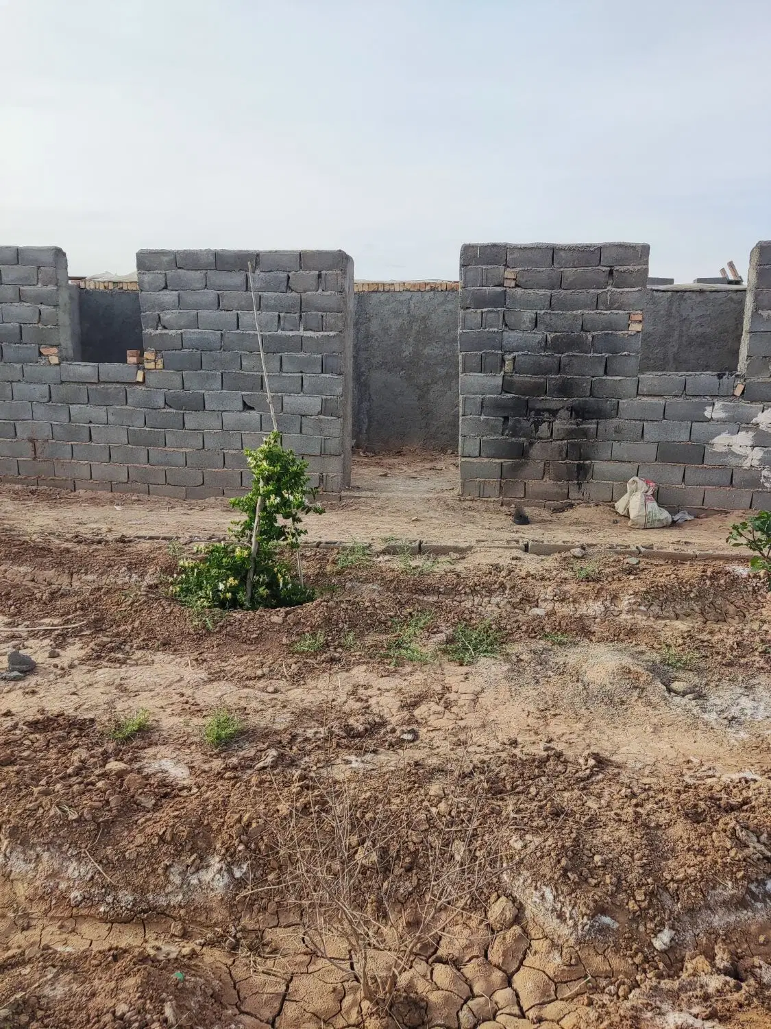 1250مترباغچه چهاردیواری شده